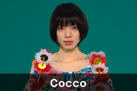 Cocco