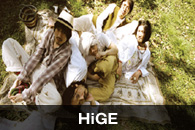 HiGE