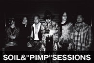 SOIL&�hPIMP�hSESSIONS