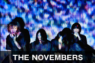 THE NOVEMBERS