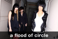 a flood of circle