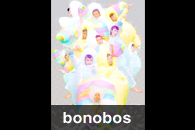 bonobos
