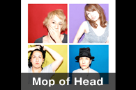 Mop of Head