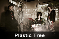 Plastic Tree
