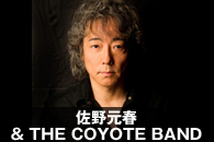 ���쌳�t & THE COYOTE BAND